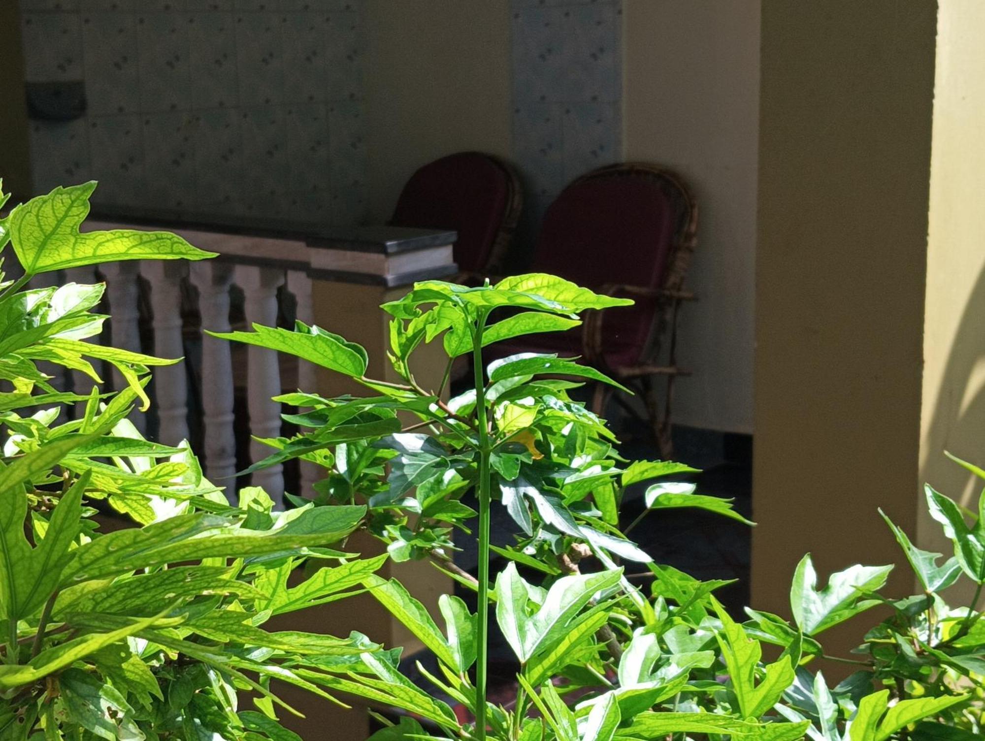 Monsoon Hotel Agonda Room photo