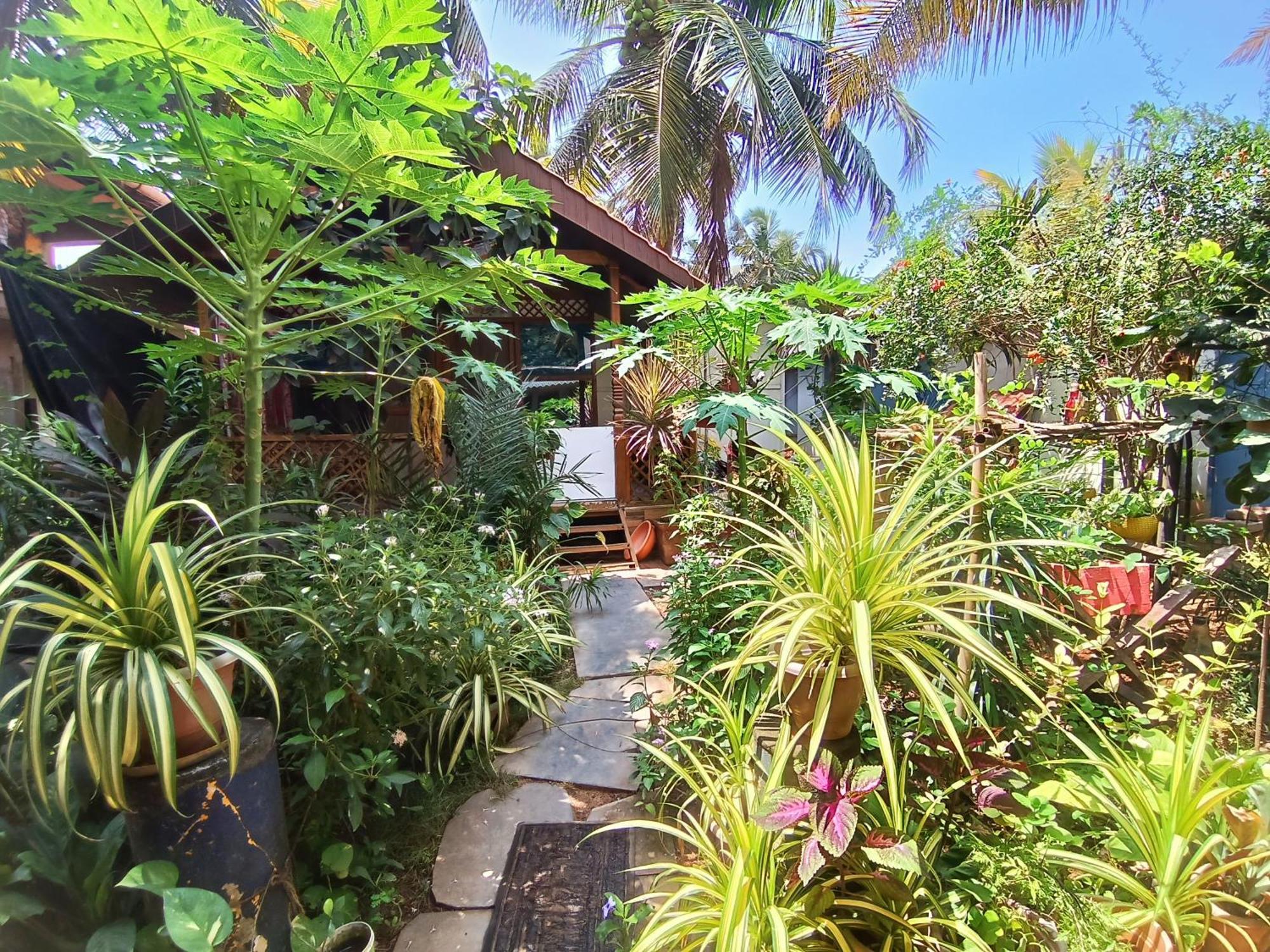 Monsoon Hotel Agonda Exterior photo